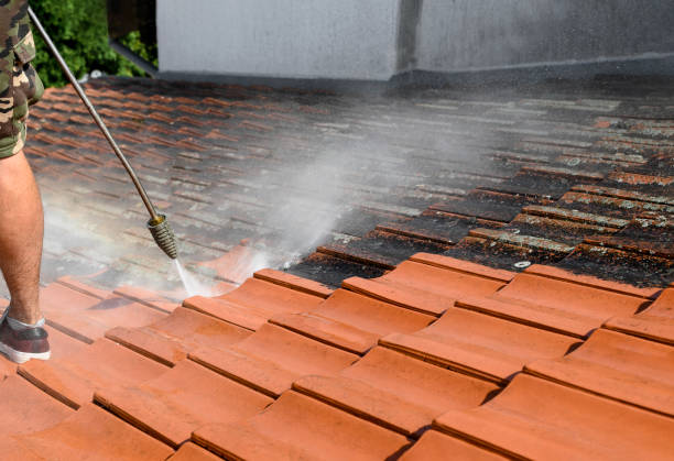 Best Deck Cleaning Services  in Leisure City, FL